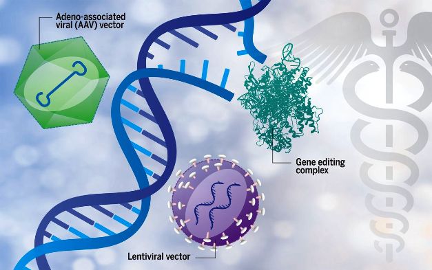 The coming of age of gene therapy: A review of the past and path forward