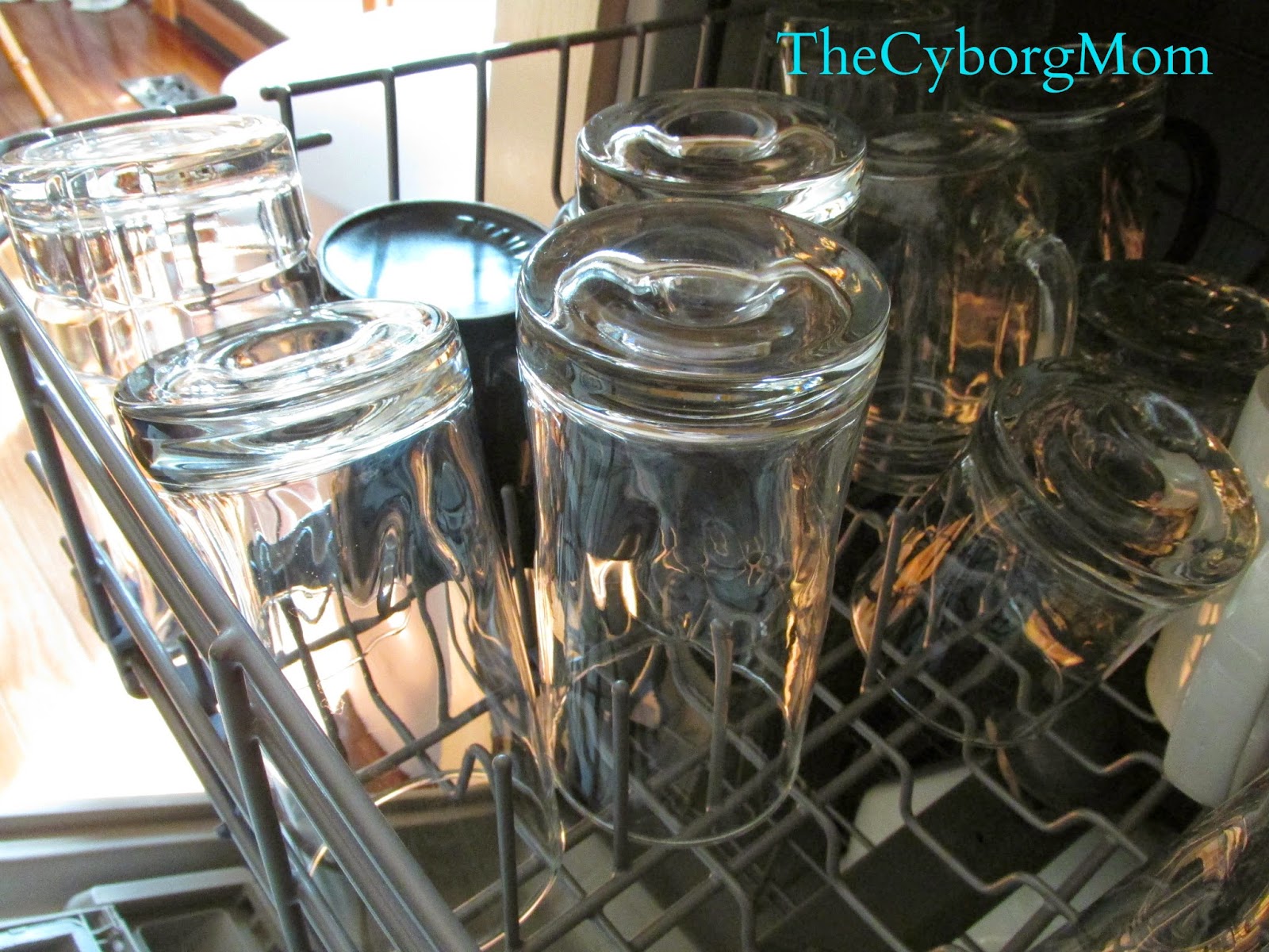 The Homemade Dishwasher Detergent Experiment
