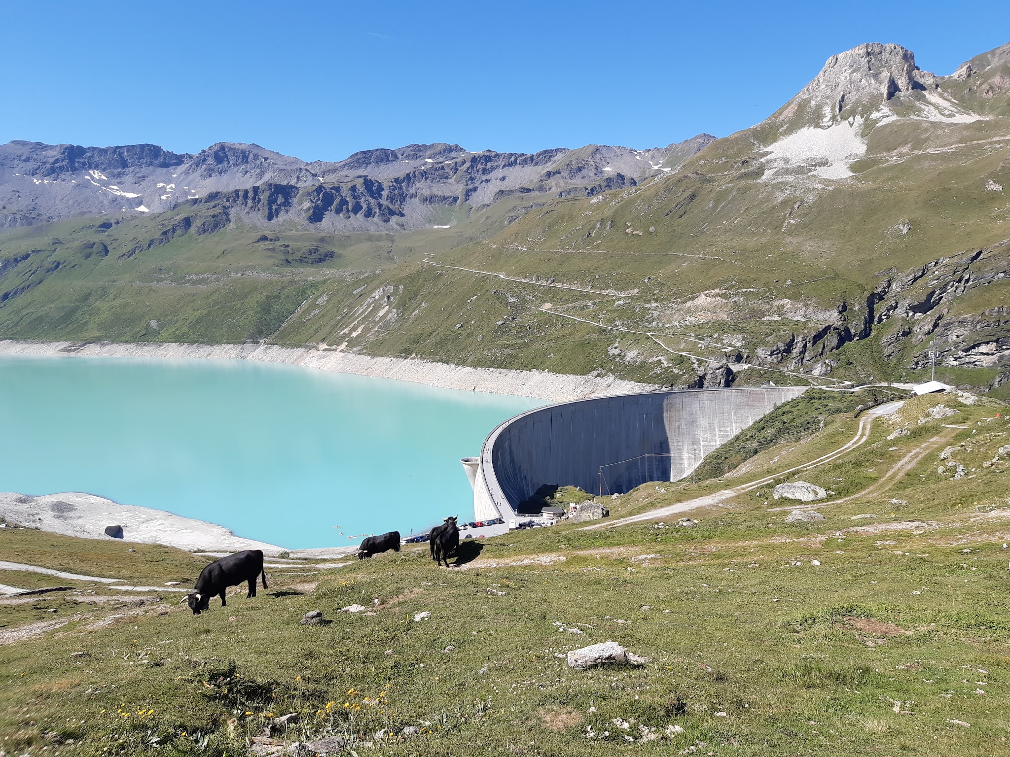 BrauchliSeuzi Lac de Moiry