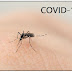 Mosquitos transmitem o novo coronavírus?