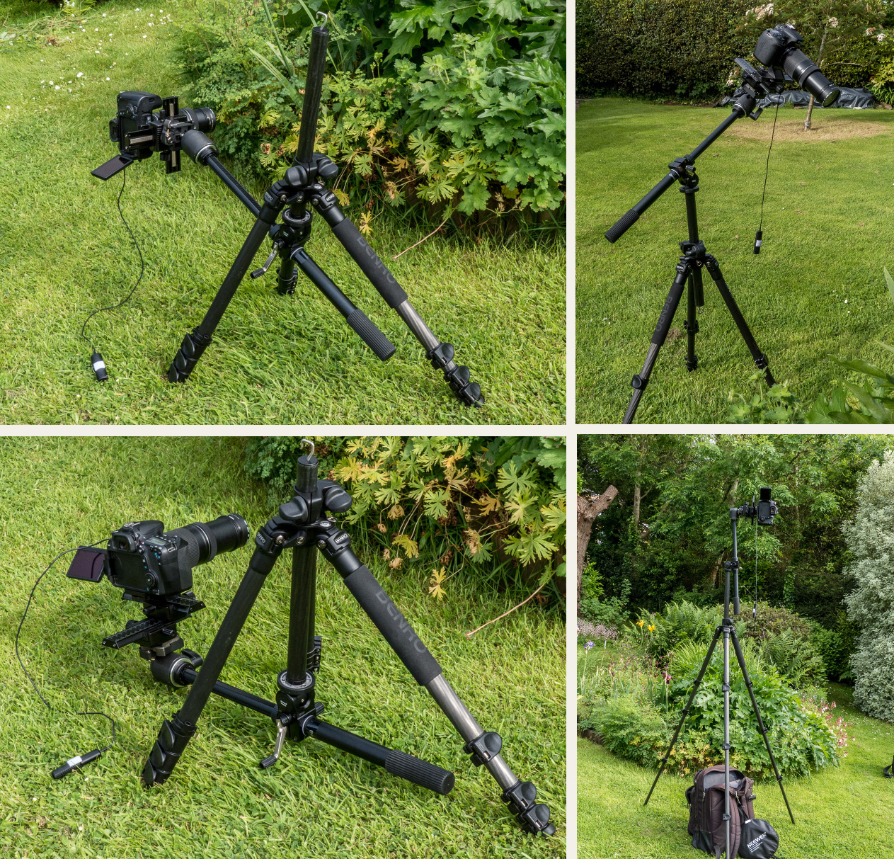 Flies and Flowers Tripod, monopod, steadying sticks