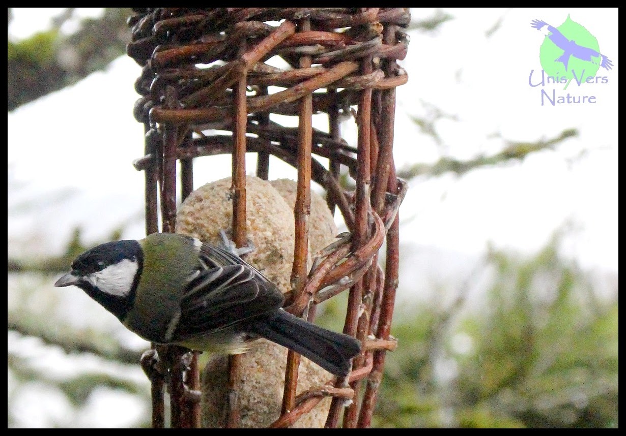Unis Vers Nature: Mangeoire à oiseaux en vannerie sauvage