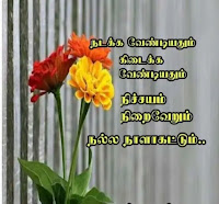 IMG 20191003 154721%25281%2529