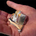 IF YOU HOLD GALLIUM IT WILL BEGIN MELTING IN YOUR HAND