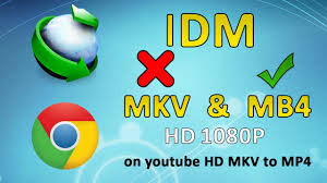 youtube online download manager mp4 youtube online download manager mp4