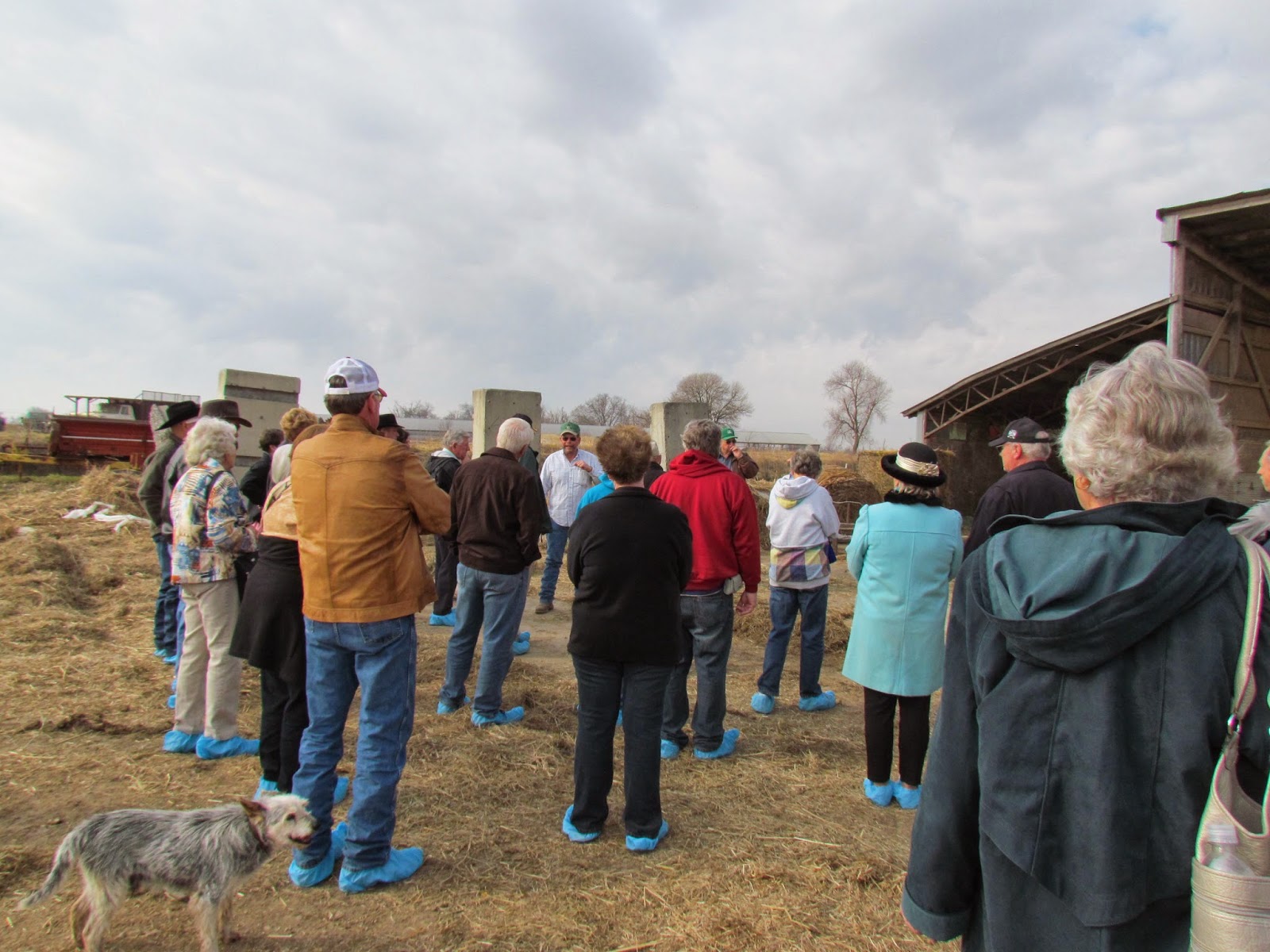 Spotted Cow Review Farmers Appreciate Northwest Arkansas Dairy Tour