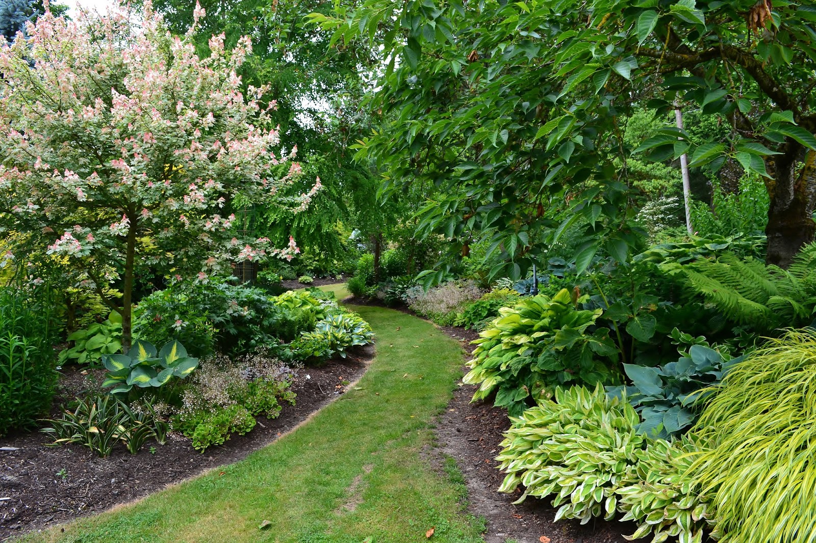 Linda Letters Sebright Gardens