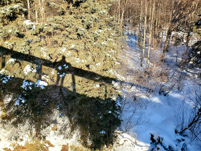 Shadow of a person looking over a bridge to a snowy forest below