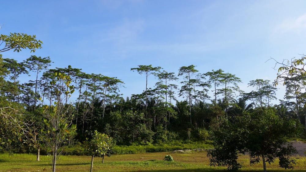 Lanchang Biru