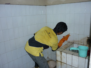 Jangan Lakukan Hal Ini di Rumah Jika Tak Ingin Membangun Istana Mereka! Siapa? Jangan Lakukan Hal Ini di Rumah Jika Tak Ingin Membangun Istana Mereka! Siapa?