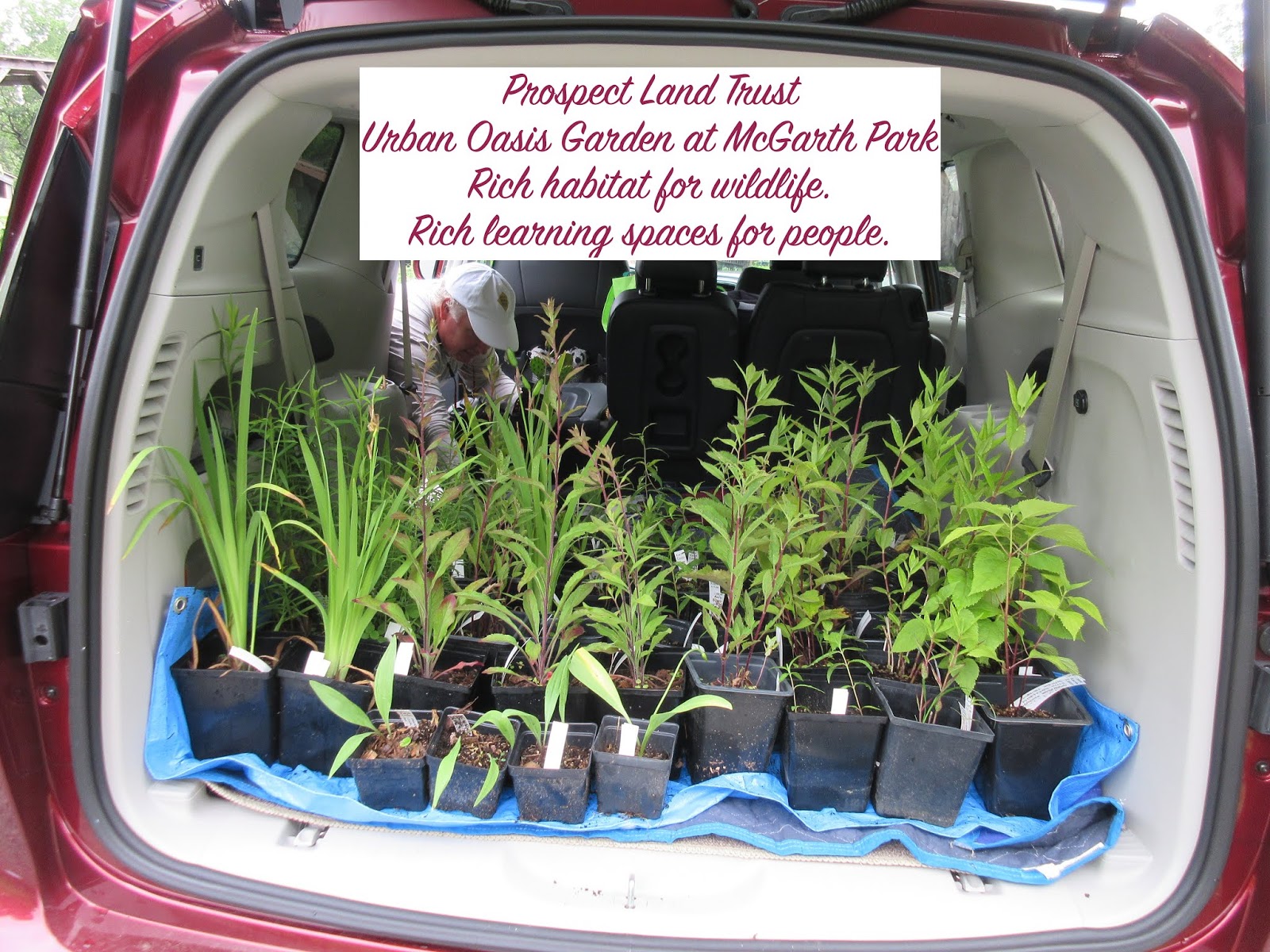 Prospect Land Trust...