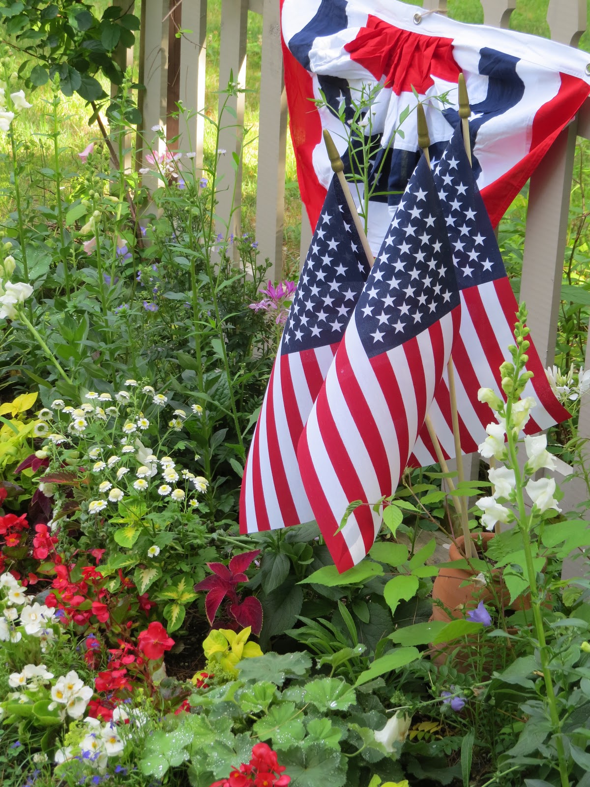 DesignsandEvents My Red, White and Blue Garden