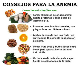 Blog de Plantas: Menú para la anemia