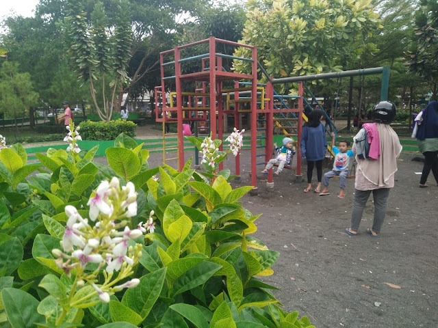 WhatsApp%2BImage%2B2020-01-02%2Bat%2B14.34.28 13 Hal yang Dapat Kamu Lakukan di Taman Merjosari Kota Malang