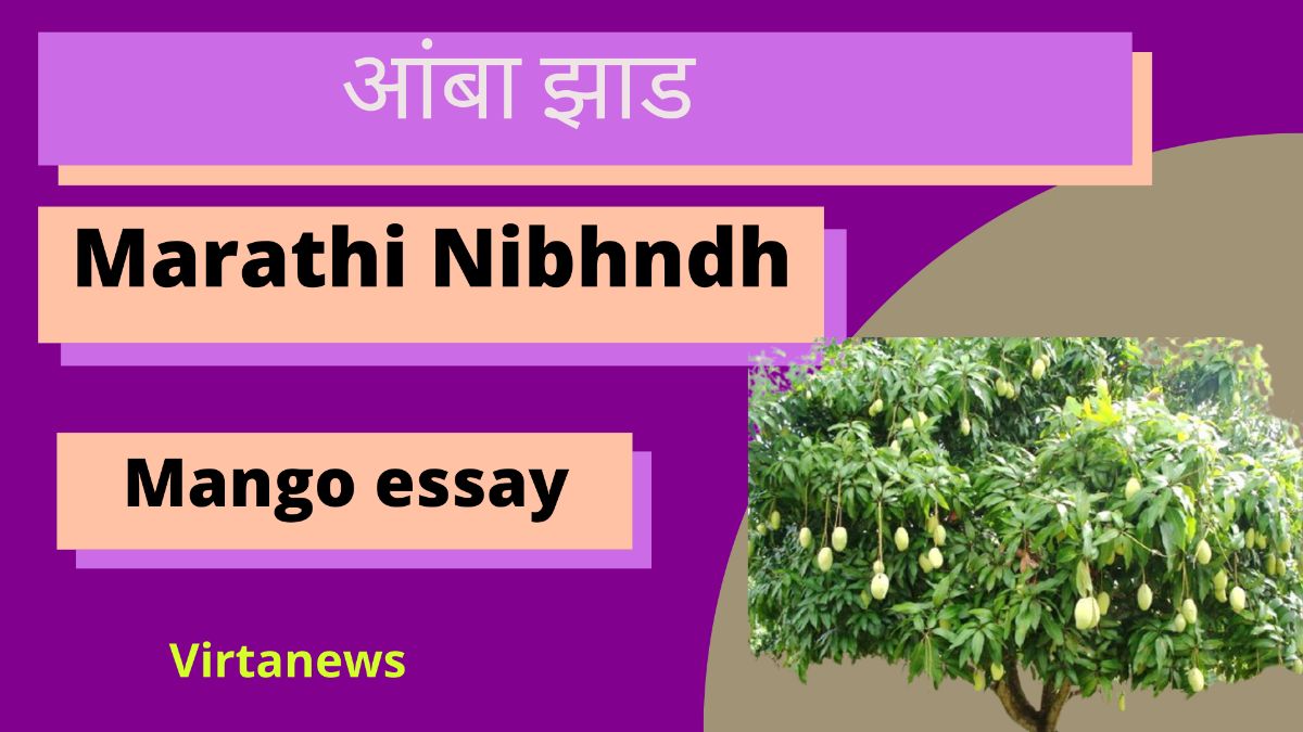माझे आवडते राष्ट्रीय फळ फाळांचा राजा आंबा मराठी निबंधessay on mango