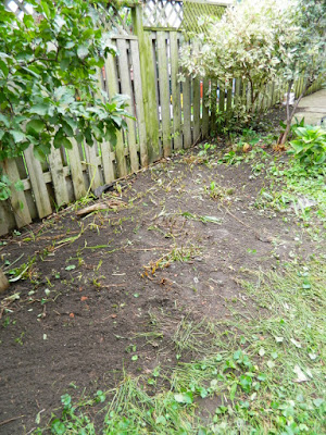 Toronto Backyard Fall Cleanup After in Riverdale by Paul Jung Gardening Services--a Toronto Organic Gardener Toronto Backyard Fall Cleanup After in Riverdale by Paul Jung Gardening Services--a Toronto Organic Gardener