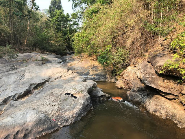 Elephant Jungle Sanctuary - Chiang Mai