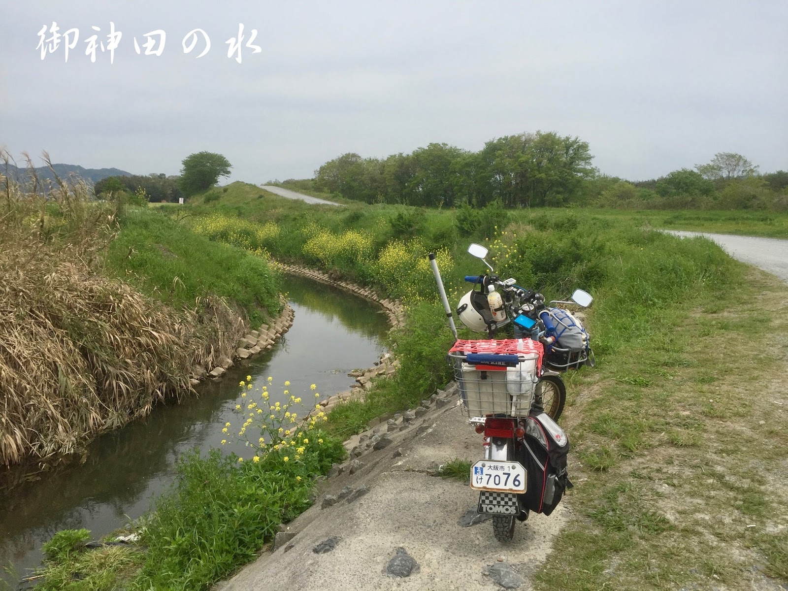 住吉めだか 御神田の水 オフィシャルブログ 京都亀岡へタナゴ釣り