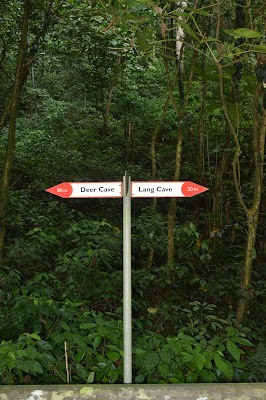 Penunjuk Jalan Penunjuk Jalan di Mulu National Park