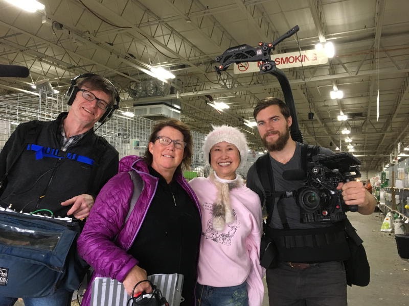 Northern California Angora Guild An abbreviated Video from the Filming
