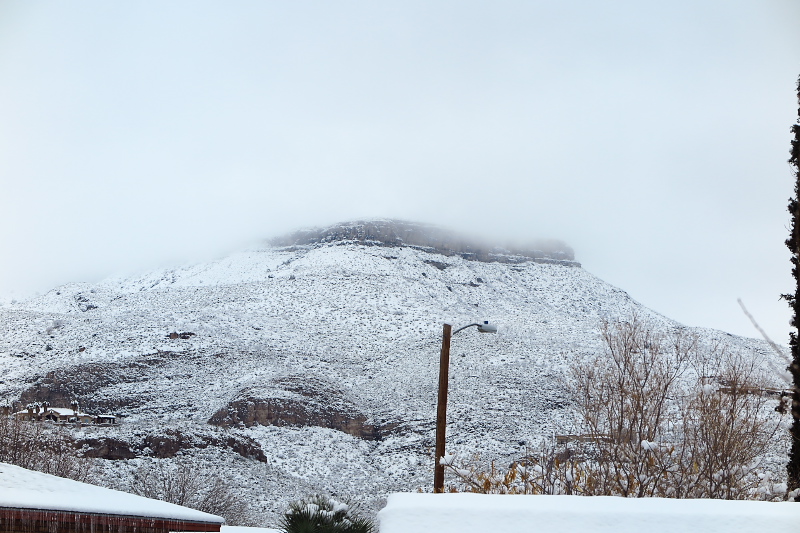 Carla's blog Four Inches of Snow in Alamogordo, New Mexico