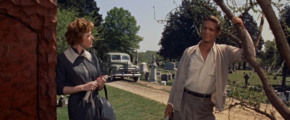 A CASA DA COLINA / A HERANÇA DA CARNE (DUAL ÁUDIO/1080P) – 1960 12-%2B%255BLargura%2BM%25C3%25A1x%2B2400%2BAltura%2BM%25C3%25A1x%2B1800%255D