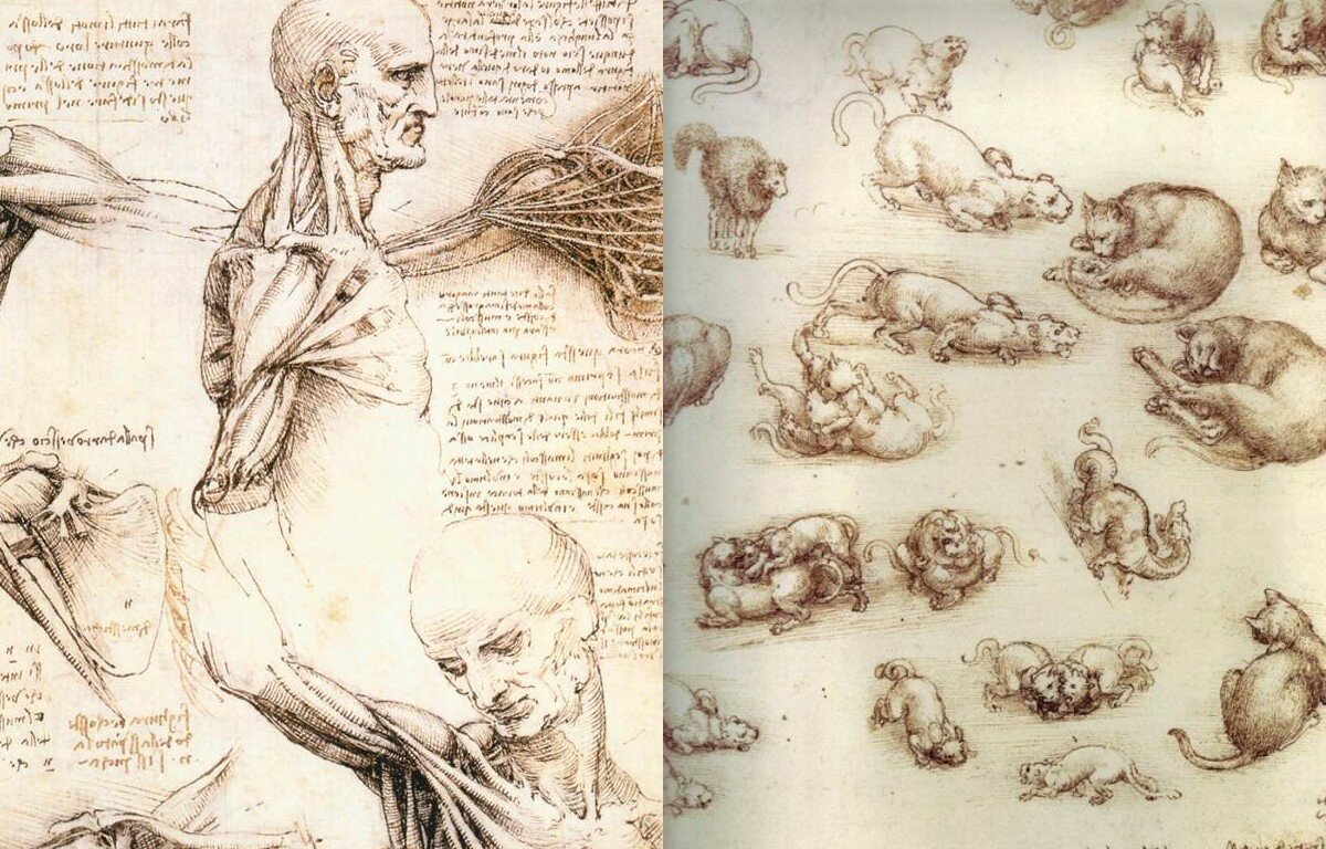 Подпись леонардо да винчи на картинах