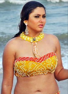 namitha maya wet pics pictures gallery on beach