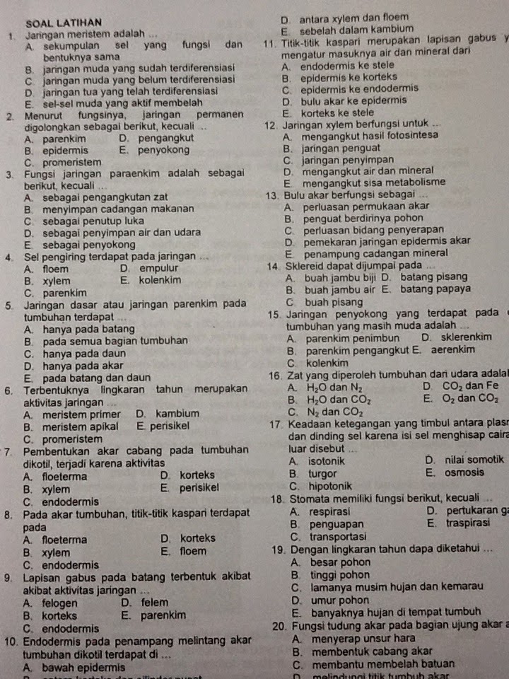 BIOLOGI GONZAGA: JARINGAN TUMBUHAN