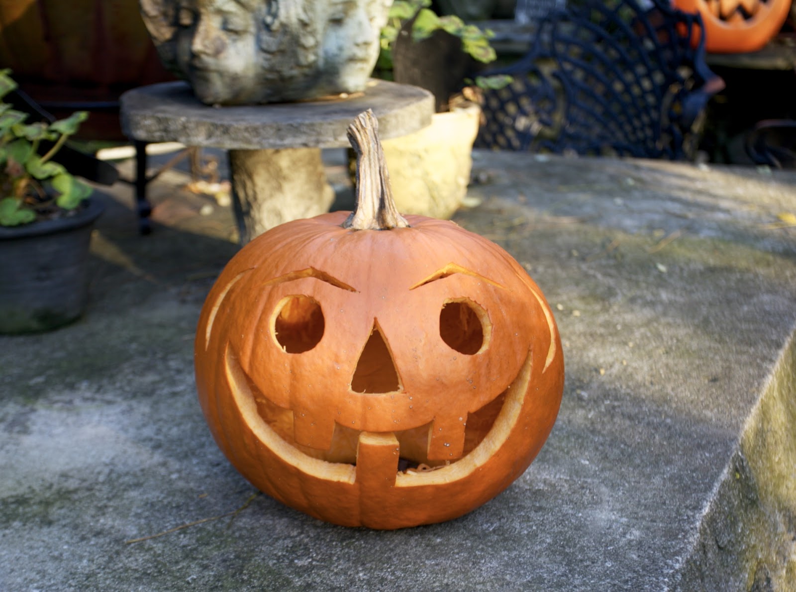 The Day Before Halloween