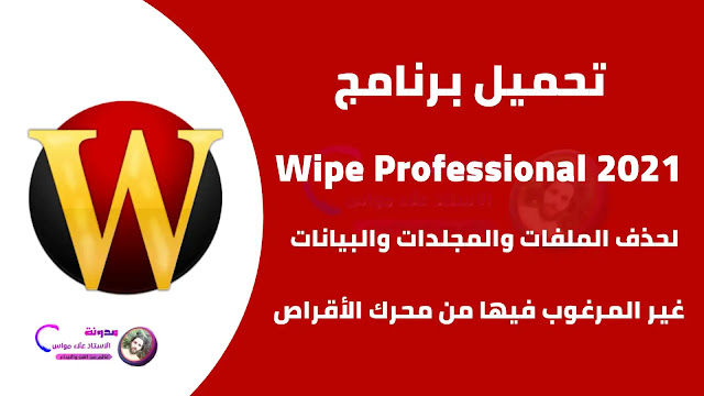 Wipe Professional 2021