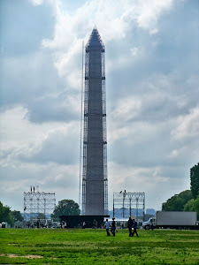 Washington Monument in Braces