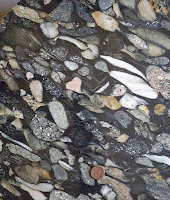 metaconglomerate with stretched pebbles