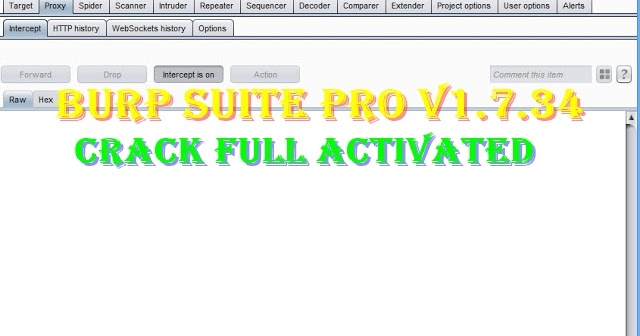 burp suite professional download crack burp suite professional download crack