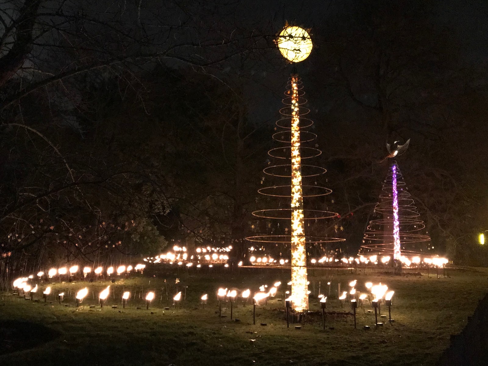 Christmas at the Botanics, Edinburgh