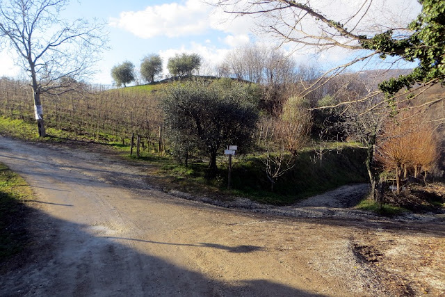 colline san benedetto marostica