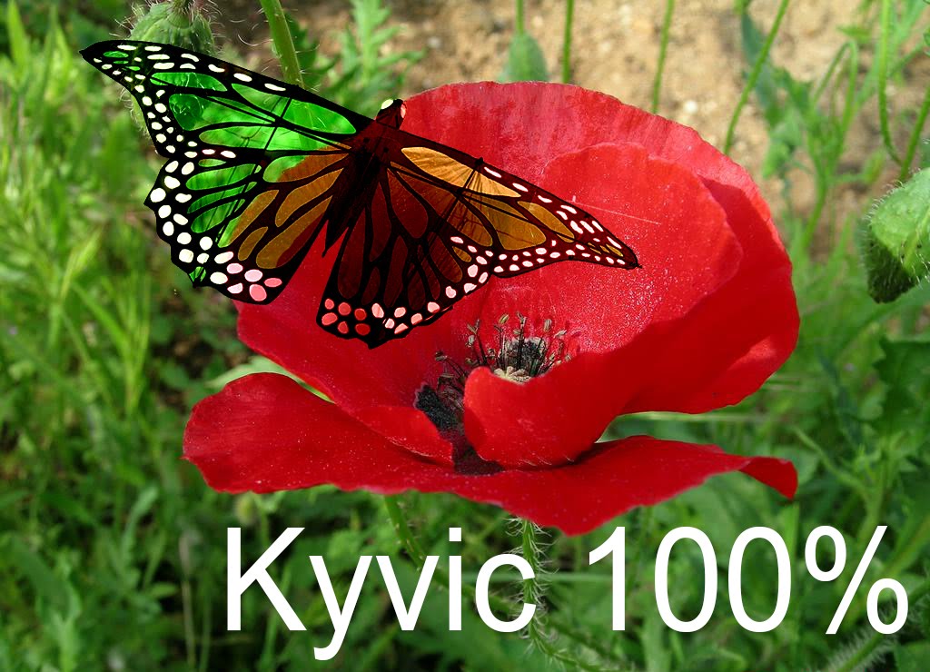 Kyvic 100%