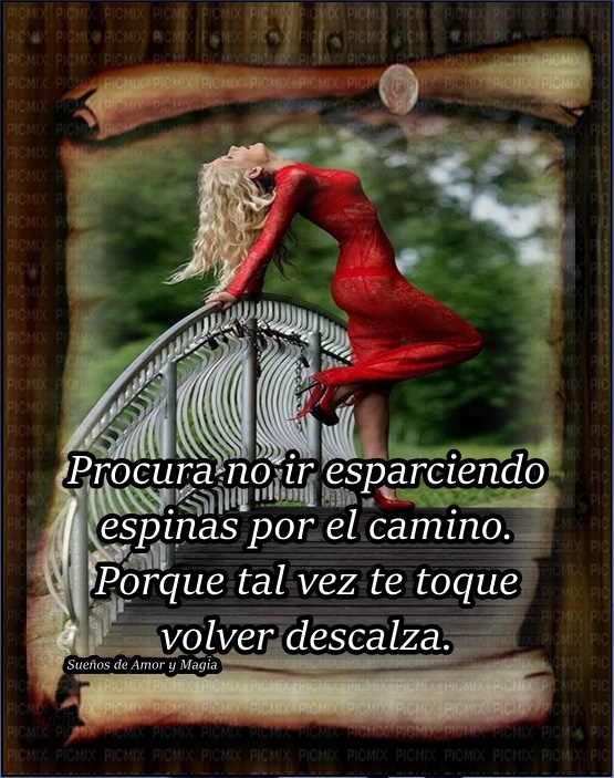 Sueños de Amor Y Magia: Procura no ir esparciendo espinas por el camino