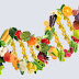 Vegetarian diets: Indications and planning