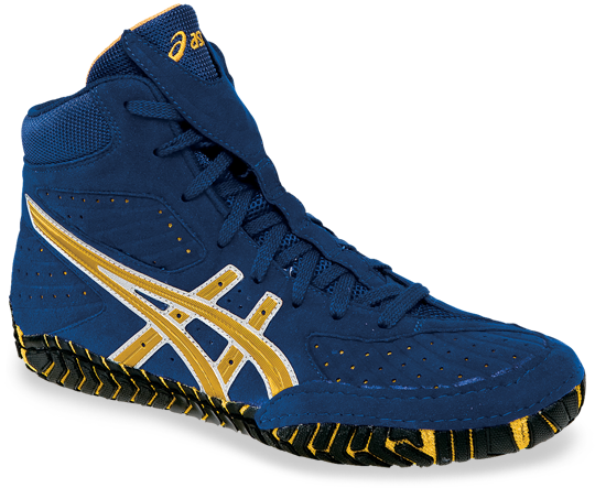 asic aggressor 1