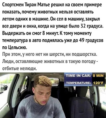 Не оставляйте животных в машинах!