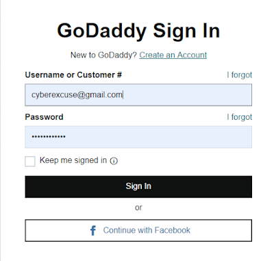 domain name provider