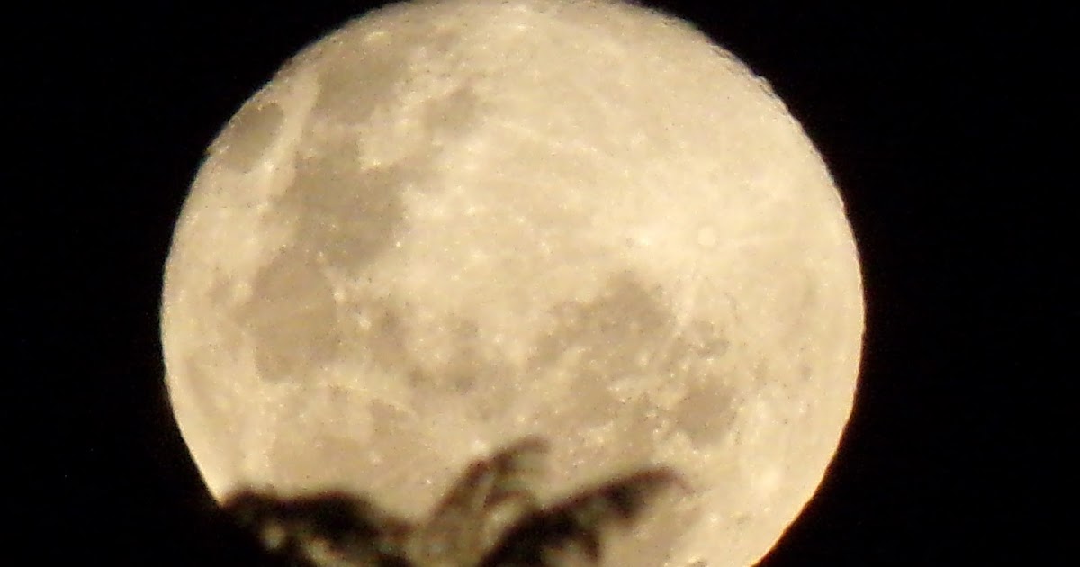 Lunas y Luces Luna y Planta Luna 22 de Mayo Luna Llena. Segundo Día