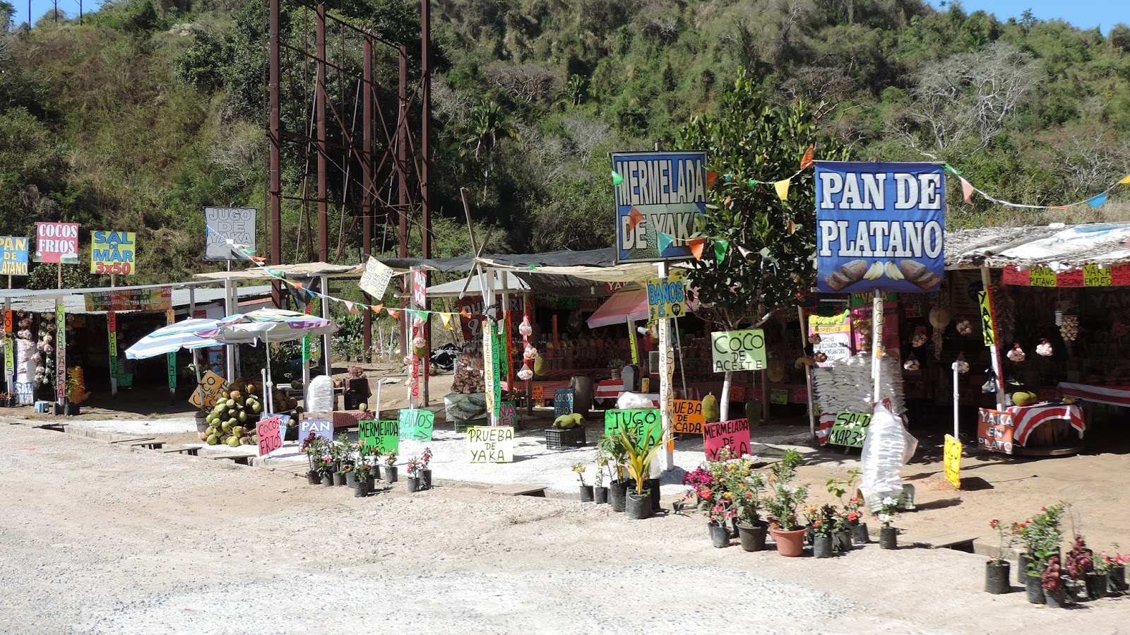 Travel with Kevin and Ruth Arrived at Lo de Marcos