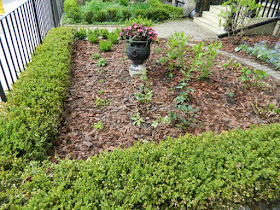 Cabbagetown Toronto front garden makeover after by Paul Jung Gardening Services