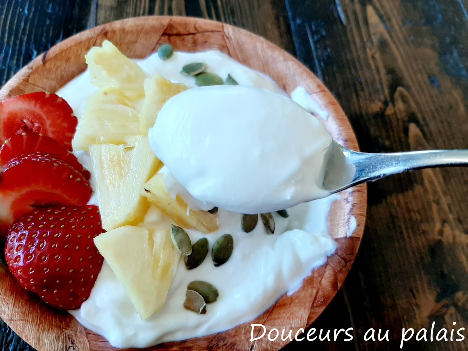Yogourt grec nature maison (Instant Pot, méthode à froid)