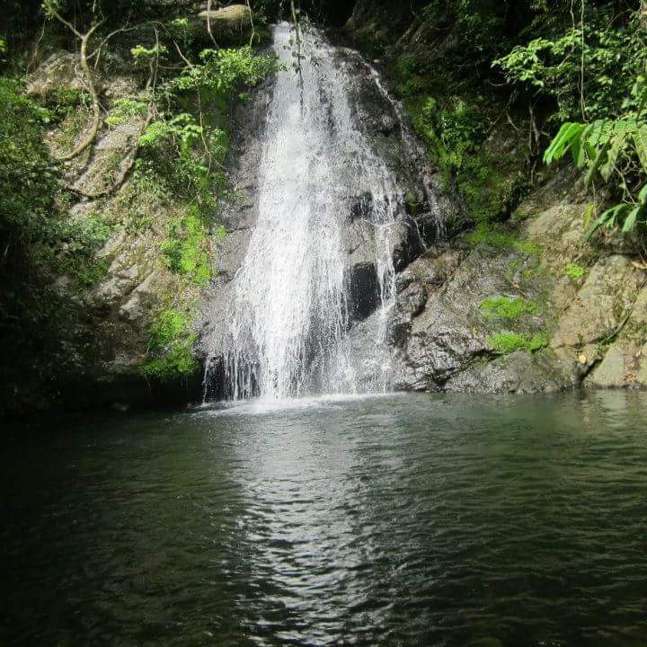 brevedescripciontiquisio tiquisio