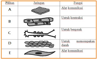 Biologi gonzaga: test jaringan BIOLOGI GONZAGA: TEST JARINGAN