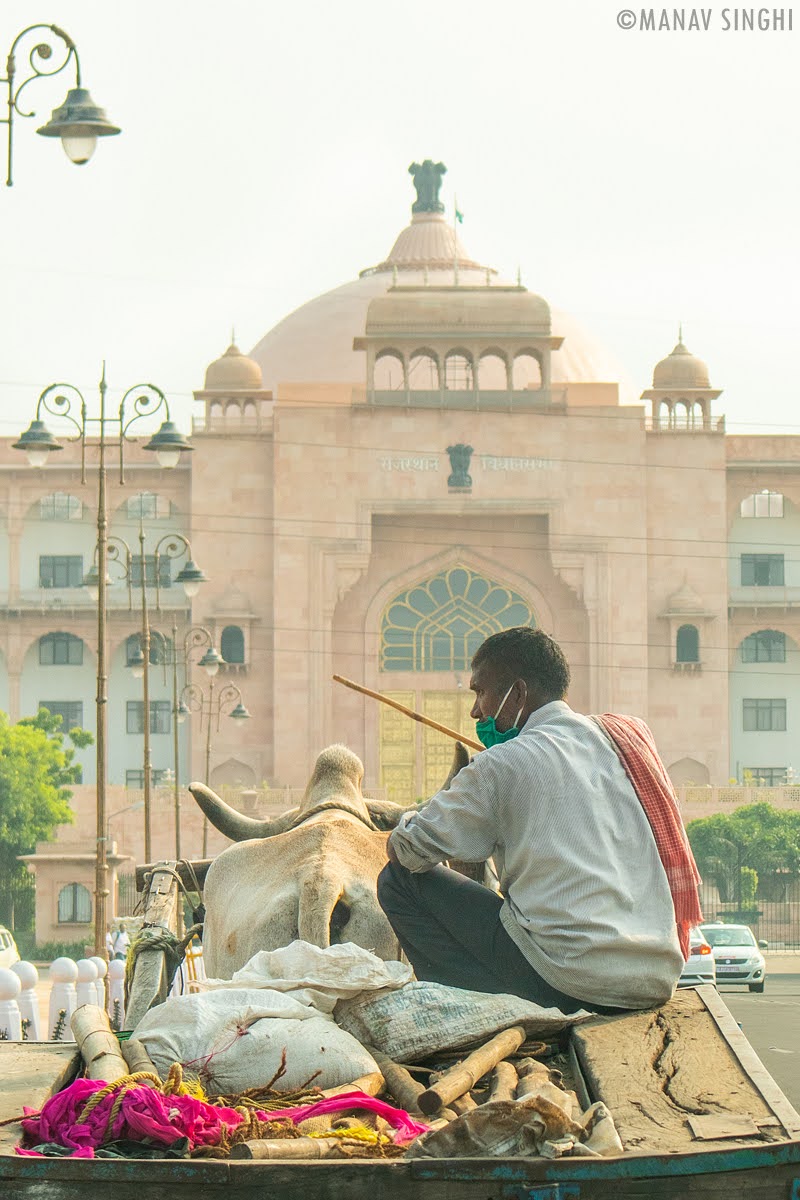 Bullock Cart & Rajasthan Vidhan Sabha 