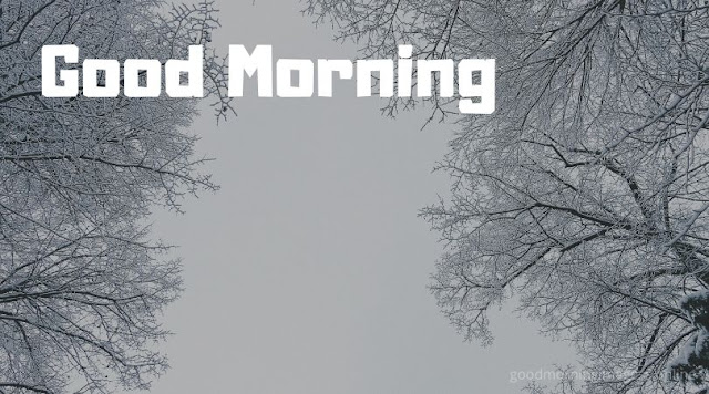 good morning images with snowfall, good morning cold images, winter good morning gif images, good morning winter season images,  good morning cold weather images
